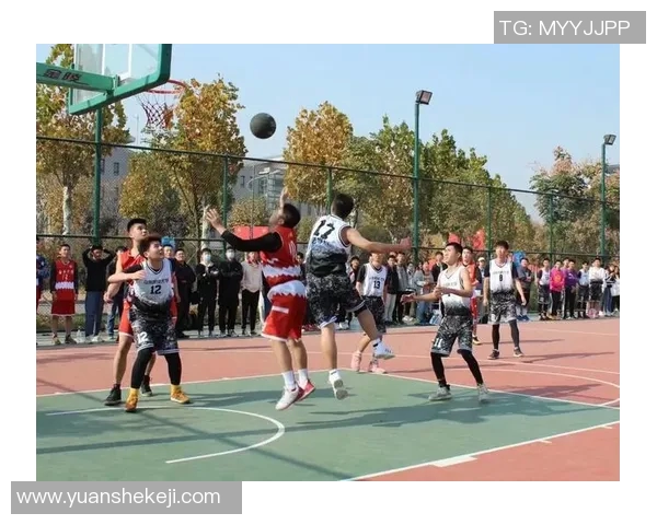 篮球明星Louis的传奇之路与成长故事揭秘篮球场上的辉煌与挑战